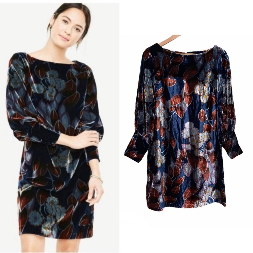 🎉HP!🎉 Ann Taylor Floral Velvet Shift Dress